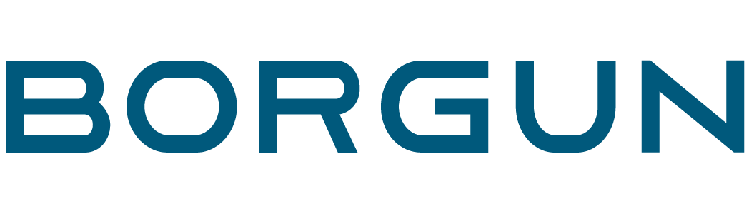 borgun-logo